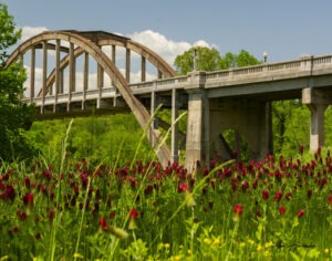 Bridges
