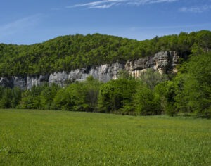 Roark Bluff