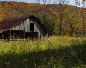 Barns