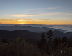 Landscapes