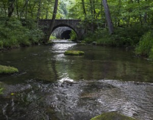 Twin Bridges at Blanchard Springs